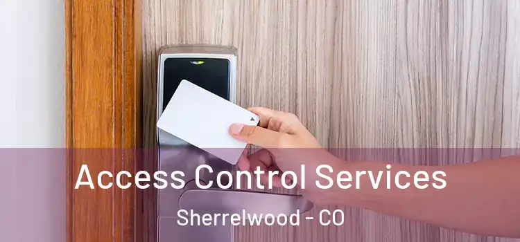Access Control Services Sherrelwood - CO