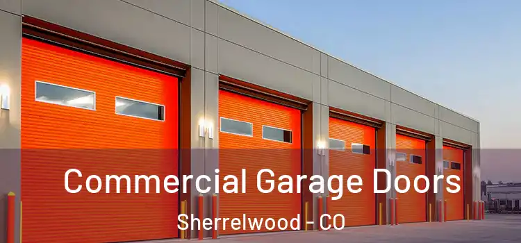  Commercial Garage Doors Sherrelwood - CO