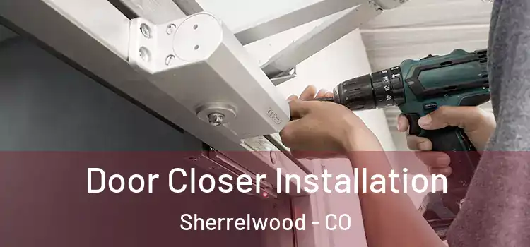 Door Closer Installation Sherrelwood - CO