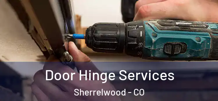 Door Hinge Services Sherrelwood - CO