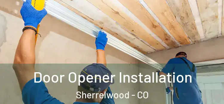 Door Opener Installation Sherrelwood - CO