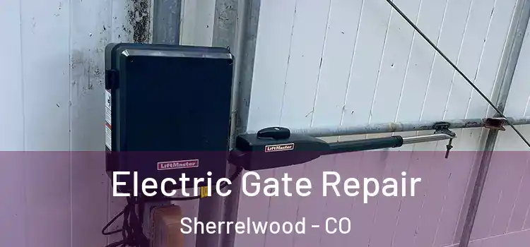 Electric Gate Repair Sherrelwood - CO