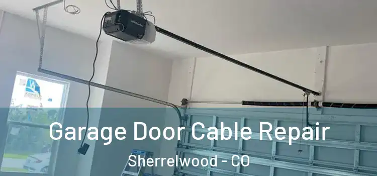 Garage Door Cable Repair Sherrelwood - CO