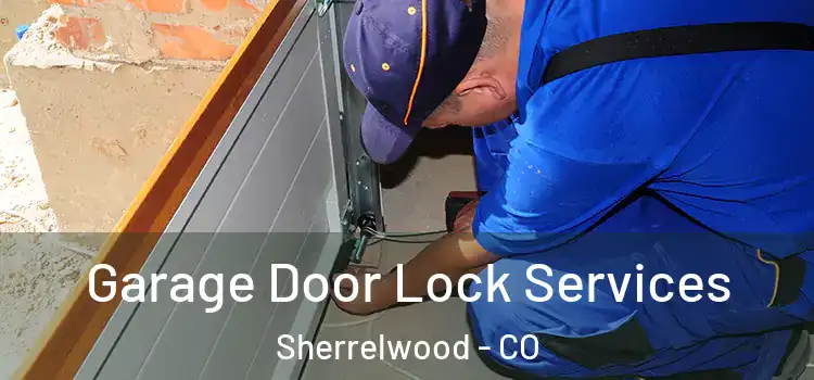 Garage Door Lock Services Sherrelwood - CO
