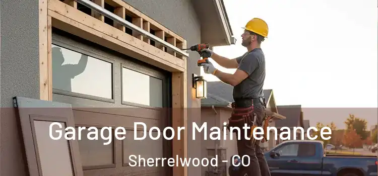 Garage Door Maintenance Sherrelwood - CO