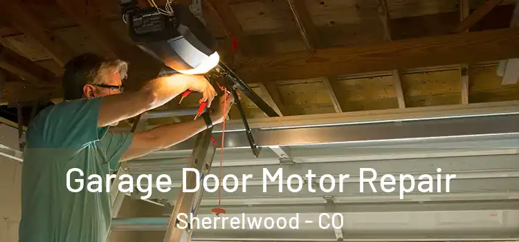  Garage Door Motor Repair Sherrelwood - CO