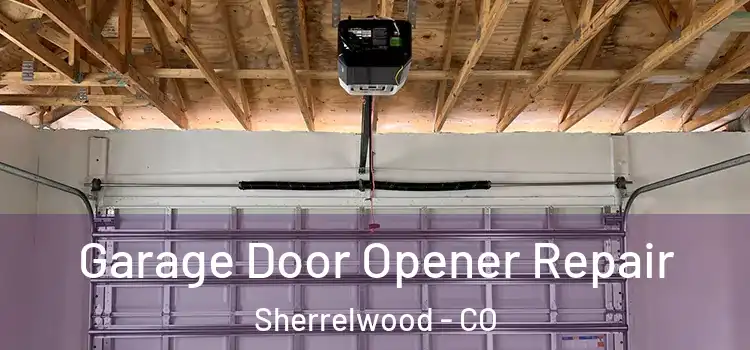  Garage Door Opener Repair Sherrelwood - CO