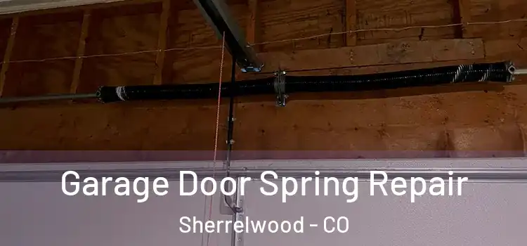  Garage Door Spring Repair Sherrelwood - CO
