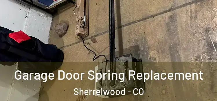  Garage Door Spring Replacement Sherrelwood - CO