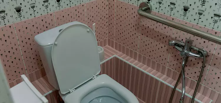Meeting Diverse Needs With Accessible Restroom Solutions in Sherrelwood, CO