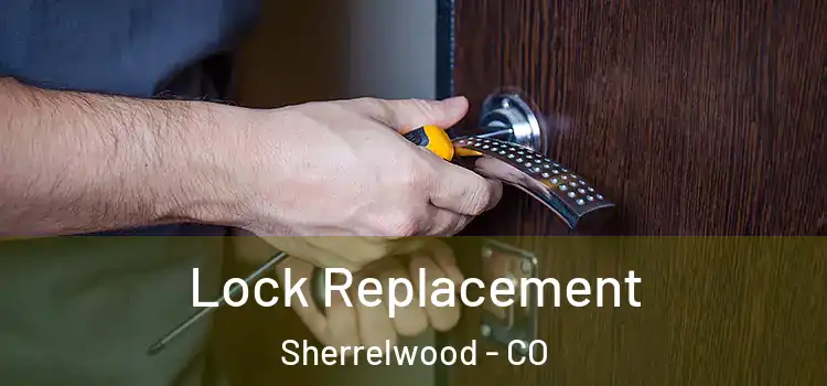 Lock Replacement Sherrelwood - CO