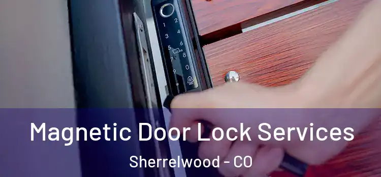 Magnetic Door Lock Services Sherrelwood - CO