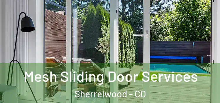 Mesh Sliding Door Services Sherrelwood - CO