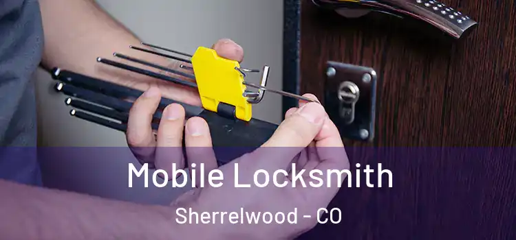 Mobile Locksmith Sherrelwood - CO