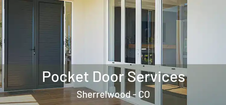 Pocket Door Services Sherrelwood - CO