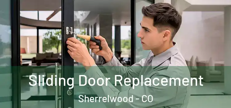 Sliding Door Replacement Sherrelwood - CO