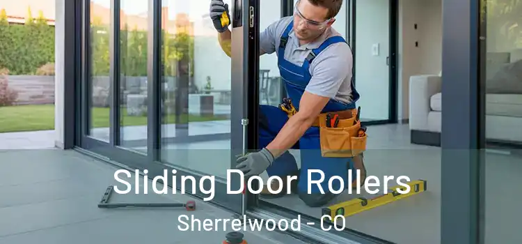 Sliding Door Rollers Sherrelwood - CO