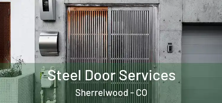 Steel Door Services Sherrelwood - CO