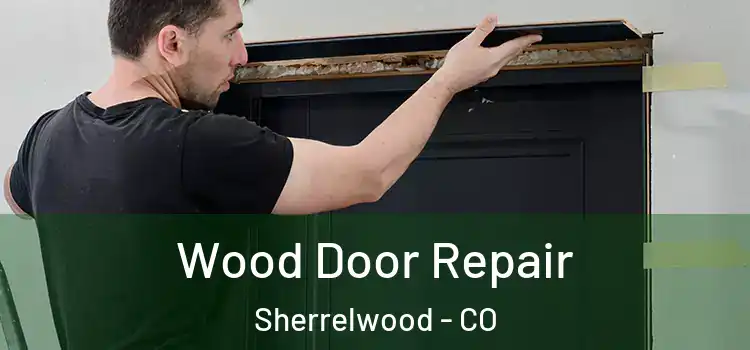 Wood Door Repair Sherrelwood - CO
